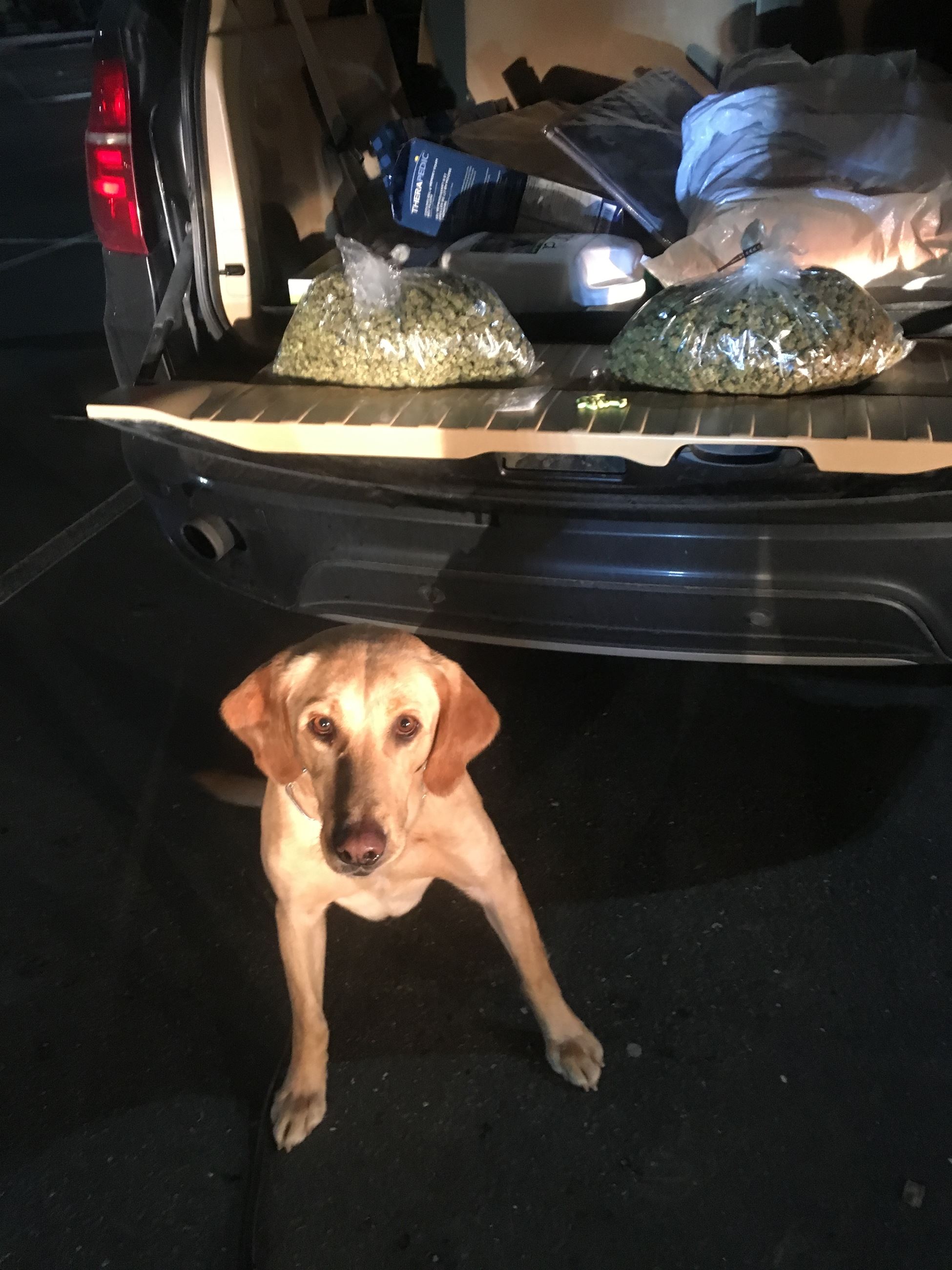 201600808 0868 0870 0871 1